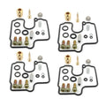 Carburetor Repair Kit for Motorcycle