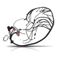 Engine Transmission Harness for Pontiac GTO Firebird LS1 4L60E (1999–2004)