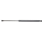 Lift Support Set for Toyota Prius (2004–2015)