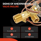 A/C Expansion Valve for Chevy Beretta Corsica Buick Skylark (1992–1993)