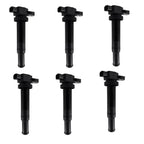 6PCS Ignition Coils for Kia Carnival VQ 2.7L G6EA (2006-2011)