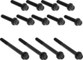 Bolt Kit for Harley Davidson Twin Cam (2000–2017) - Titanium 12-Point Black