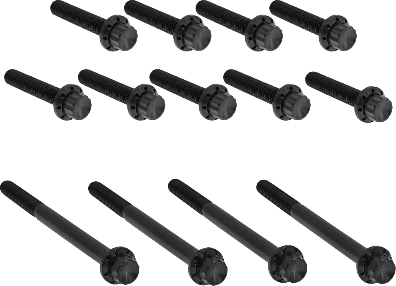 Bolt Kit for Harley Davidson Twin Cam (2000–2017) - Titanium 12-Point Black