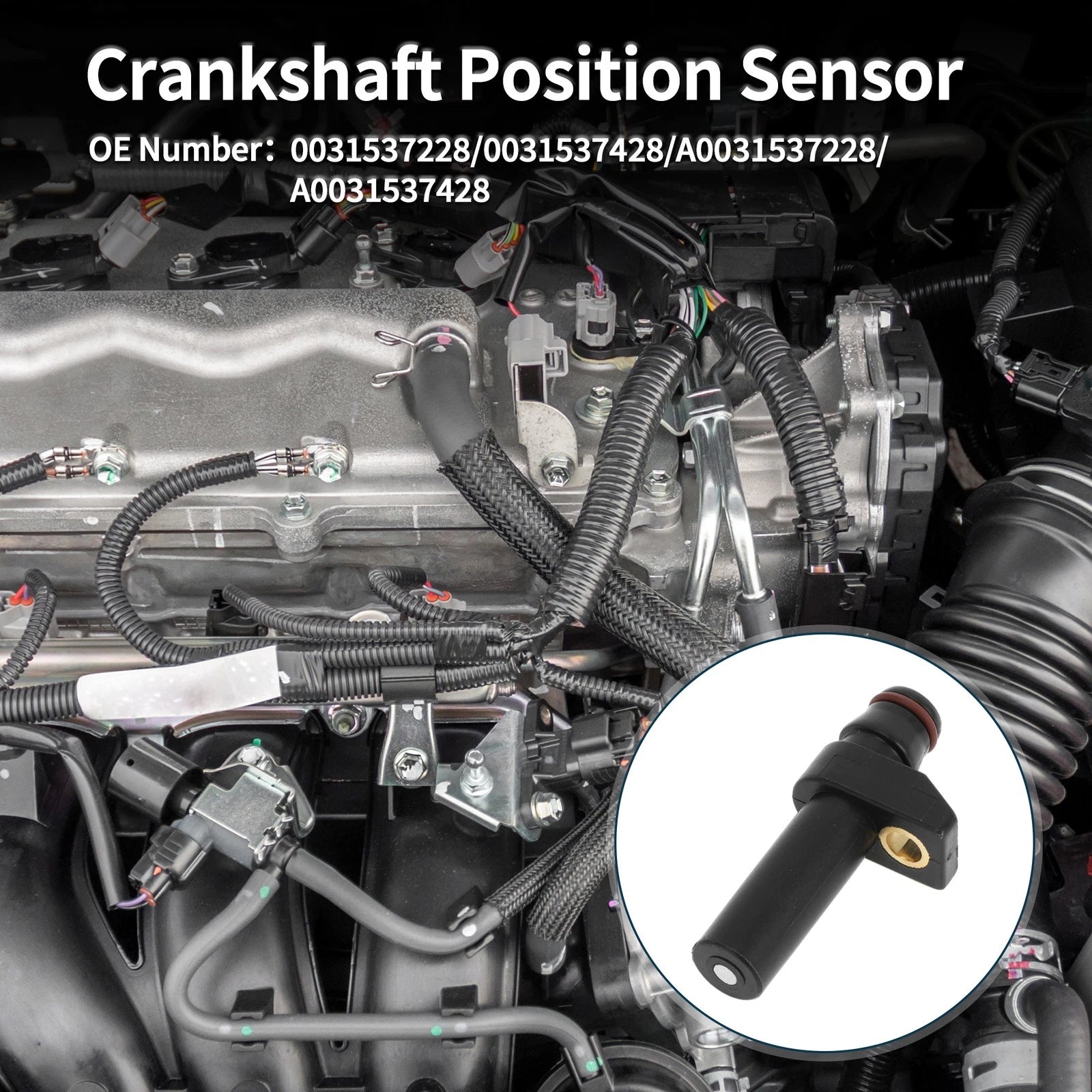 Crankshaft Position Sensor for Mercedes-Benz S320 (1996–1999) No. 0031537228