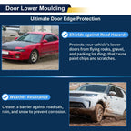 Lower Rear Right Door Trim for Lexus NX (2015-2021)