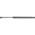 Set of 2 Hood Lift Supports for Maxima
