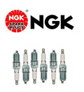 Set of 6 NGK TR55 V-Groove Copper Resistor Spark Plugs (V-Power)