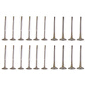 Set of 12 Intake & 8 Exhaust Valves for Audi A4 TT Quattro Passat 1.8L Turbo
