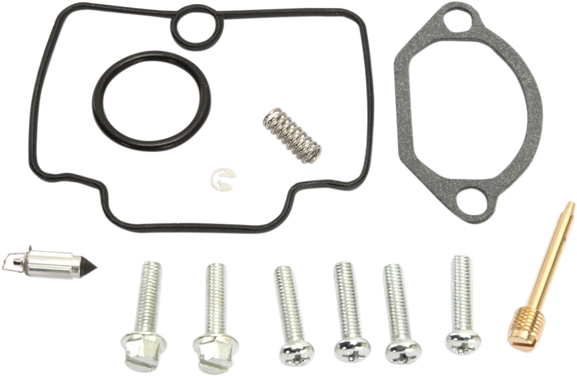 Carburetor Repair Kit for KTM (26-1560)