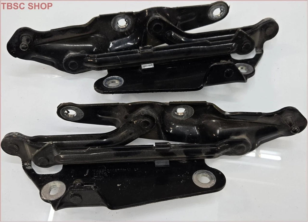 Trunk Lid Hinge Set for Ford Taurus Lincoln MKS (2008–2012)
