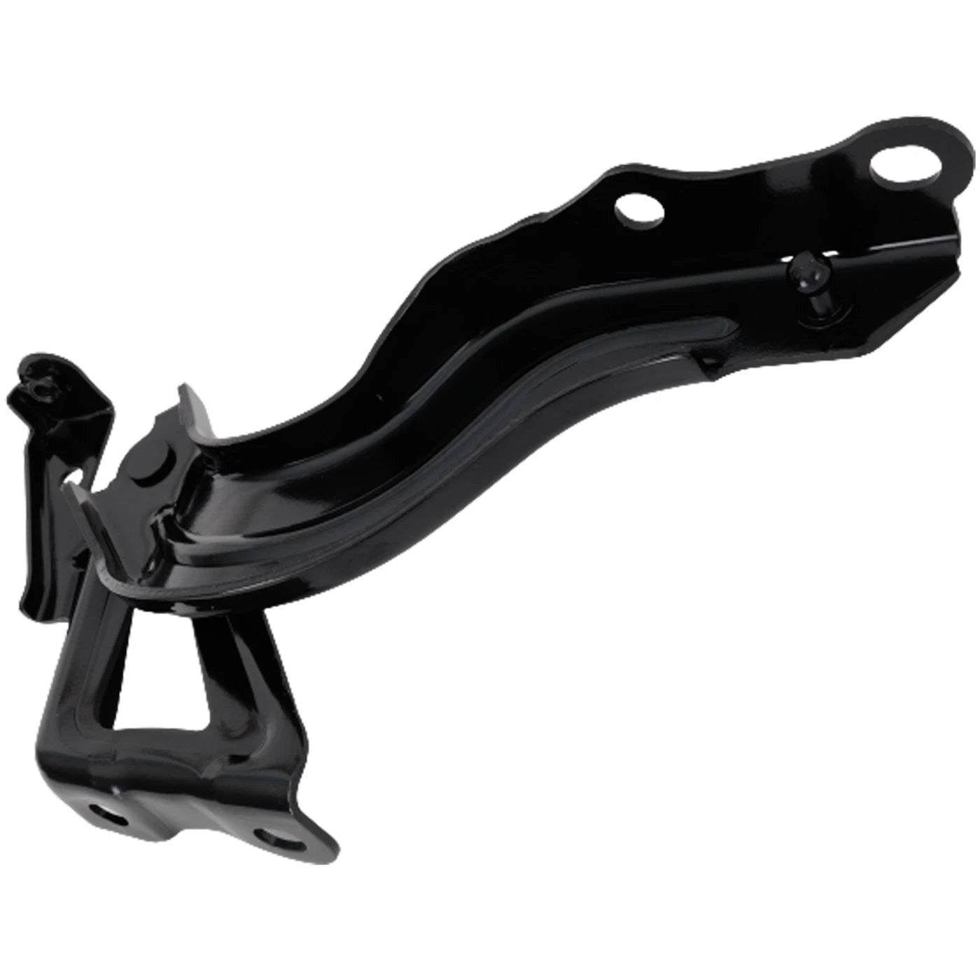 Hood Hinges Set of 2 for Toyota Sequoia