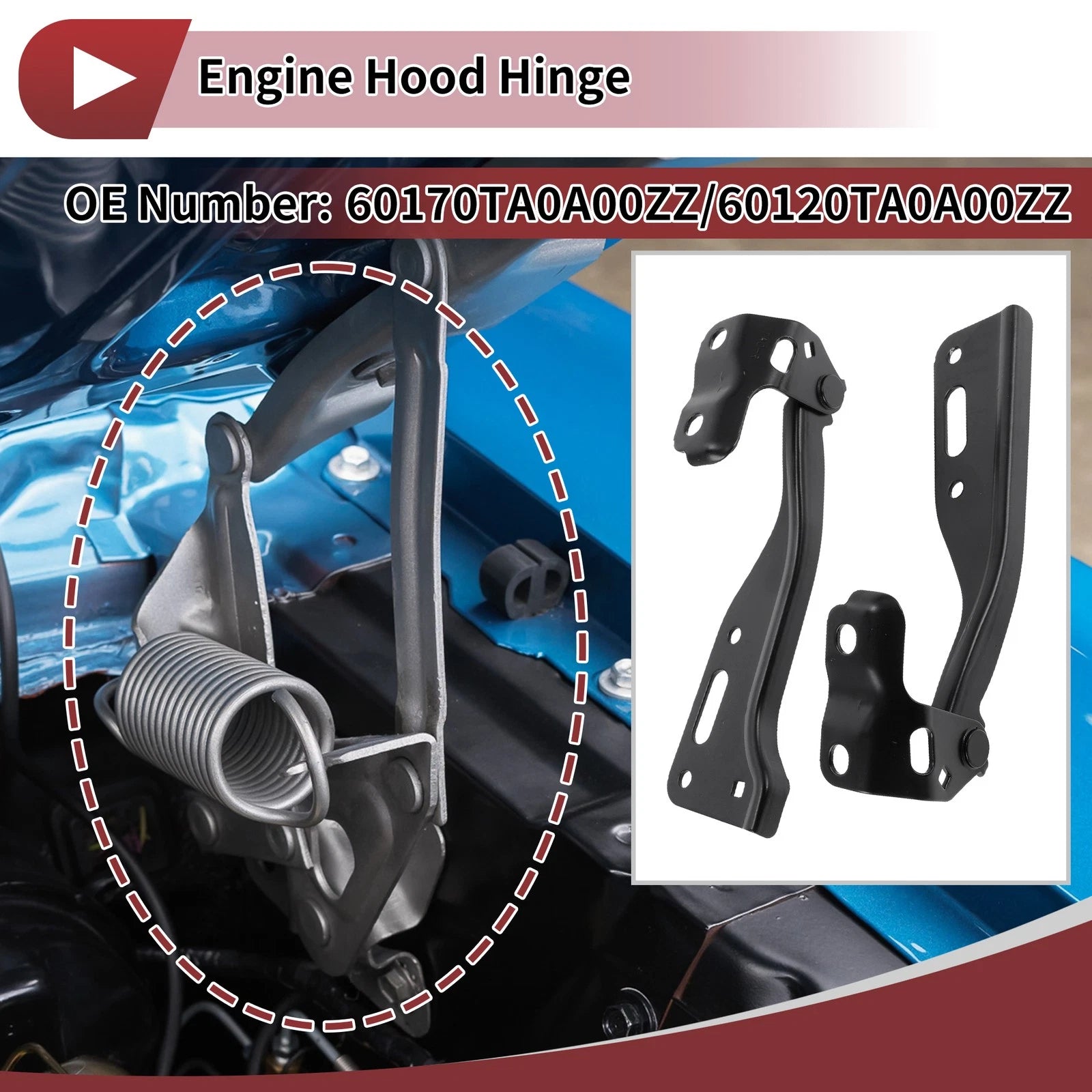 Hood Hinges for Honda Accord, Crosstour (2008–2012) - 60170TA0A00ZZ, 1 Pair