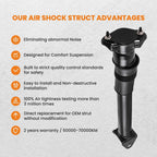 Air Suspension Gas Shock for Mercedes R-Class (2006–2014)