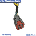 Power Hatch Lift Supports for Ford Edge (2015-2018)