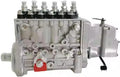 Fuel Injection Pump 5263084 for Cummins 6CTA8.3-GM155 (208 BHP, 1500)