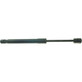Lift Support for Ford Mustang (2005–2014) Trunk Lid