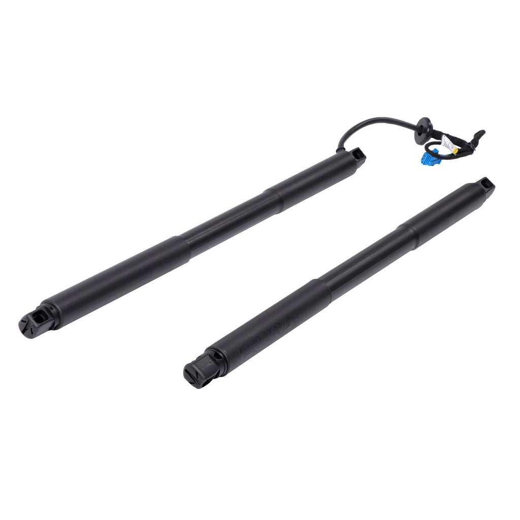 Pair of Trunk Supports for Mercedes-Benz X166 GL350 GL450 GL550 (2013–2019)