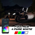 2X RGBW Whip Kit for