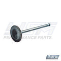 WSM Valve for