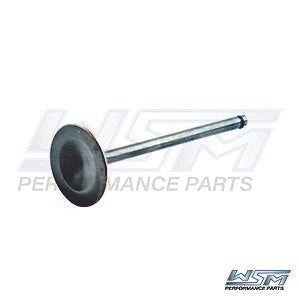 WSM Valve for