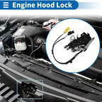 Hood Latch Assembly for BMW 5 Touring G31 (2017-2023)