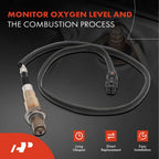 O2 Oxygen Sensor for Hyundai Elantra (2011–2016) & Kia Forte Koup (2014–2016)