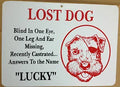 Lost Dog Sign for Man Cave - Blind, One Leg, Castrated, Named Lucky
