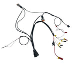 Master Wiring for MG2000 (FNM Diesel 1.010.083.1)