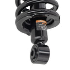 Complete Rear Struts w/Coil Spring for Honda Element (2003-2011)