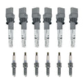 Set of 6 Ignition Coils & NGK Iridium Spark Plugs for Audi Porsche VW 3.6L V6