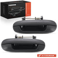 2X Rear Exterior Door Handle for Buick Rainier (2004–2007) GMC Envoy