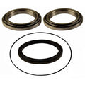 Planetary Wheel Hub Bearing & Seal Kit for John Deere (8302152)