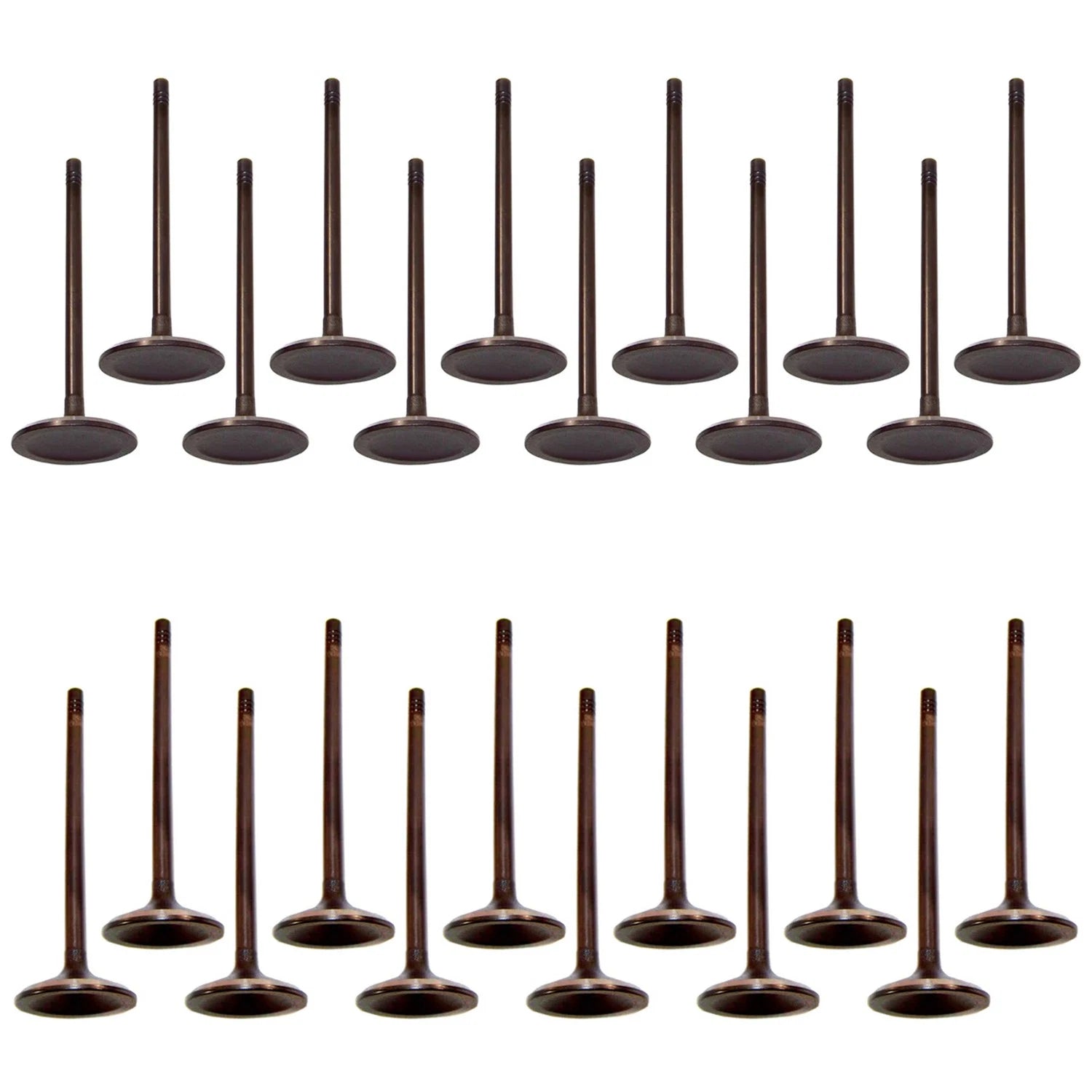 12 Intake & 12 Exhaust Valve Kit for Envoy Rainier Trailblazer 4.2 V6 (2002–2009)