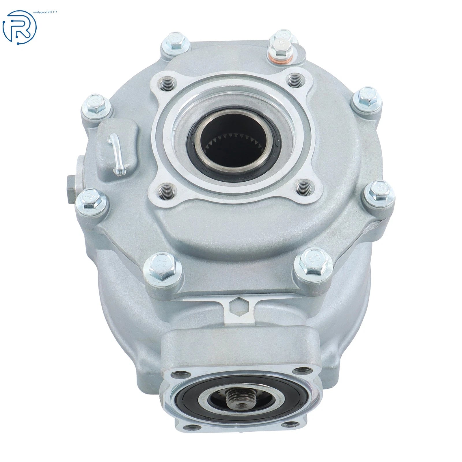 Rear Final Drive Assembly for Honda TRX250 (2008-2020)