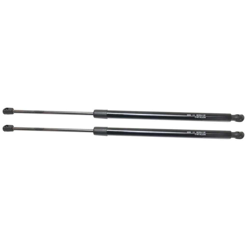 Liftgate Lift Supports Set of 2 for Driver & Passenger Side