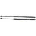 Liftgate Lift Supports Set of 2 for Driver & Passenger Side