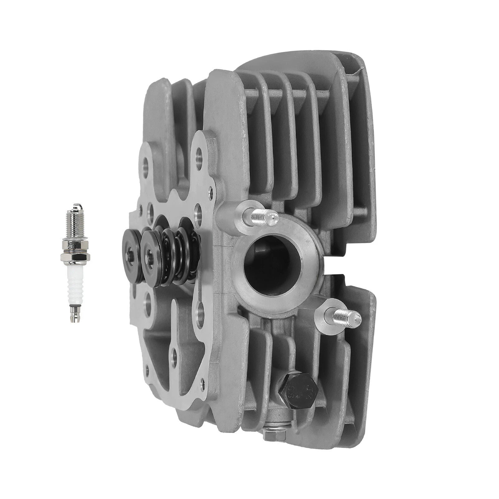 Cylinder Head Kit for Honda Rancher 350 TRX350TE TRX350TM TRX350FE 2000-2006