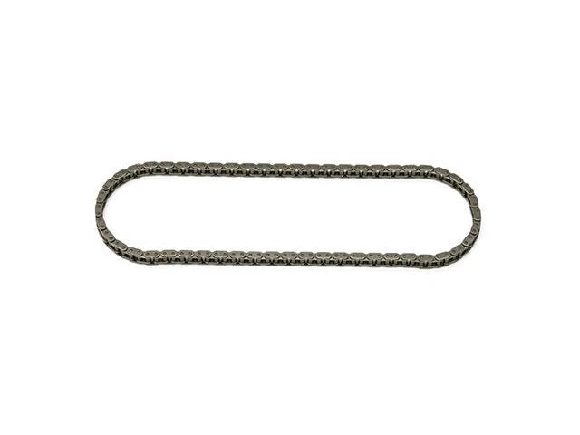 Timing Chain for Jaguar XJR (1998–2003) DS977BZ