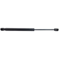 Hood Lift Supports Set of 2 for Sedan