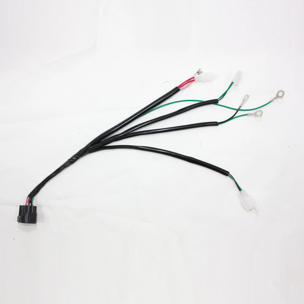 Wiring Harness Loom for Lifan W150 150cc Engine (PIT PRO Trail Dirt Bike)