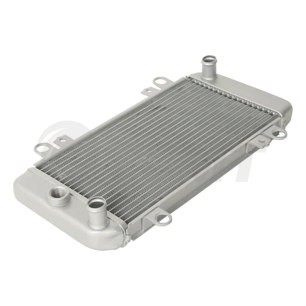 Radiator 250R Cooler for Kawasaki Ninja 250R EX250 (2008 - 2012)