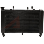 Radiator Assembly for Kawasaki Versys 1000 (2015-2018) & Z1000 (2010-2016)