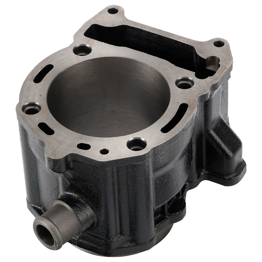 75mm Cylinder Top End Piston Kit for Aprilia Atlantic Sport City SR Max 300 (2010–2015)
