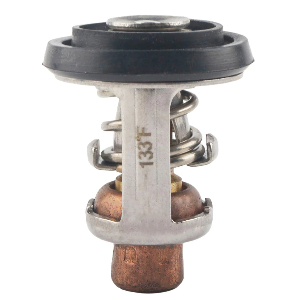 Outboard Motor Thermostat for Evinrude Johnson OMC BRP E 115-175 HP (1990-2005)