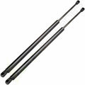 2 Hood & 2 Trunk Lift Supports for Nissan Maxima (2004–2007)