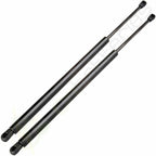 2 Hood & 2 Trunk Lift Supports for Nissan Maxima (2004–2007)