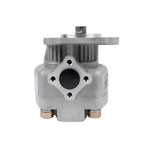 Hydraulic Pump 2451000 for Iseki S650 S550 Bolens G152 G154 G174 H1502 (–)