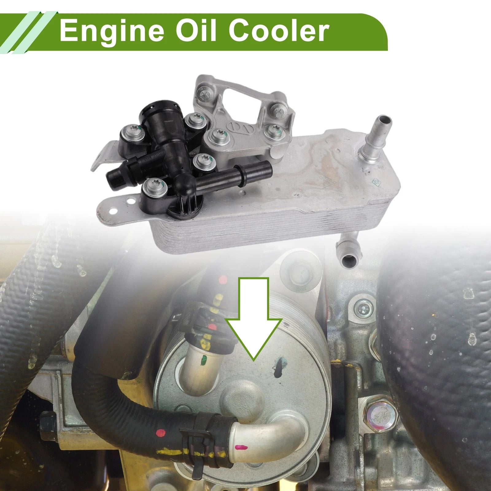 Engine Oil Cooler for BMW 230i (2017–2023) No. 17218514515