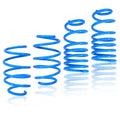 Lowering Springs for Honda Civic Sedan/Coupe (2006–2011) 2" Front/Rear