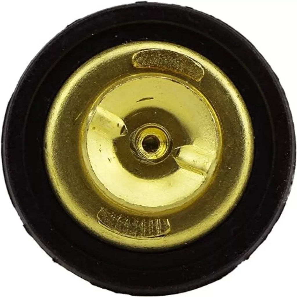 Thermostat for Parsun Outboard F5A F6A (5hp 6hp) F15-07000031 with Gasket Seal
